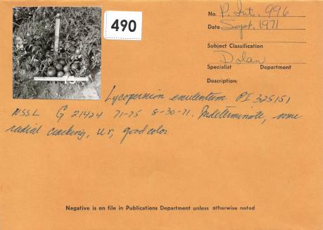 Click for 1 image(s) for this accession. Field